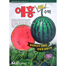 애홍미니수박씨앗10립 호피무늬가 선명한 적육계 원형수박씨앗 권농종묘