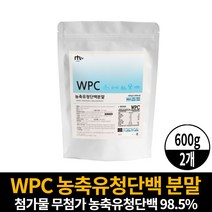 미국산 웨이 프로틴 WPC 농축유청단백질 분말 가루 더블유피시 떠블유피시 단백질보충제 헬스 전 후 마시는 담백질 파우더 쉐이크 남성 여성, 2개, 600g