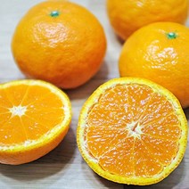 당도높은 제주 서귀포 감귤 카라향 귤로향 3kg