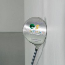 HOGAN VIP LEMON LADY 5번 24도 여성용 중고우드 골프, 기본 : 상세페이지 참조