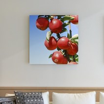 아란아트 예쁜 청사과그림 모던인테리어 다양한 종류 카페 인테리어 캔버스액자, 23.복덩이 빨간사과