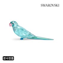 스와로브스키/ Jungle Beats 블루 패러킷 Paco 5574519