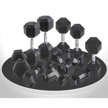 베스코 육각 덤벨 아령 PEV 1kg - 20kg 홈트 홈짐 가정용 클럽용 헬스장, 1개