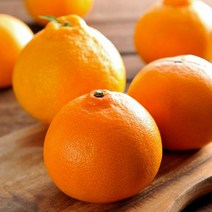 제이블릭 제주 황금향 2kg 3kg 5kg 선물포장 당도보장 농장직송 레드향 카라향 홍매향 홍미향 고당도 15브릭스 선물용 가정용 연말선물 명절선물 설선물 임신 임산부 부모님 선물, 제주 황금향 고급선물용(선물가방) 5kg