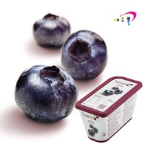 브아롱 블루베리 냉동 퓨레(100%) 1kg 아이스박스+드라이아이스+아이스팩 기본포함