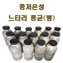 느타리종균(병), 노랑느타리