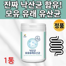 19종 안전한 낙산균 모유 유래 유산균 분말 가루 프락토올리고당 L 프롤린 가세리 루테리 락토바실러스 모유수유 아빠 엄마 온가족 20대 30대 40대 50대 60대 유산균 추천, 1통