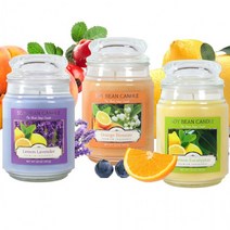 또초이스샵아로마캔들 향초 567g 13종 실내방향제 소이캔들, 아쿠아체리블라썸