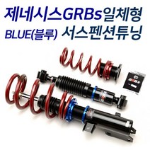GRBS 제네시스 쿠페 일체형서스펜션 블루 서스펜션 튜닝 일체형쇼바
