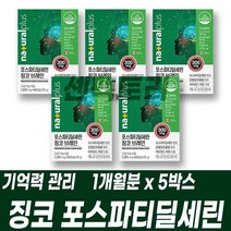 기억력 인지력 항산화 두뇌 관리 은행잎추출물 포스파티딜세린 징코 브레인 비타민E 아연