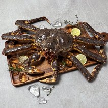 은하수산 살아서 도착하는 레드 활 킹크랩 2.6-2.8kg, 단품