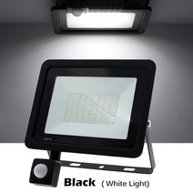 확산판 PIR 모션 센서 LED 투광 야외 조명 플로어 외부 프로젝터 웜 SMD2835, 4.Black - White Light - 30W