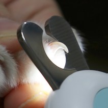 울리올리 반려동물 LED 미니 가위형 혈관 확인 발톱깎이, 코랄핑크, 1개
