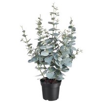 이케아 IKEA 인조식물 실내외겸용 유칼립투스 65cm, 1개