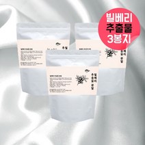 빌베리추출물분말 빌베리 100% 물에타먹는 비베리 빌베리효능 빌베리 빌베리추출물 bilberry 빌베리비타민 블루베리빌베리 로돕신 옵신 빌베리분말 빌베리가루 빌베리파우더 약 3개월, 390g, 3, 130g