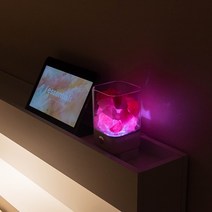 일상공간 굿나잇 디퓨저 무드등, 베르가뭇, 블랙