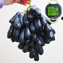 꿀맛 스위트 블랙 사파이어 가지 포도 3kg 2kg 1kg, 사파이어 포도-1kg