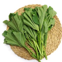 [오창농협] 친환경 아욱 300g x 2봉