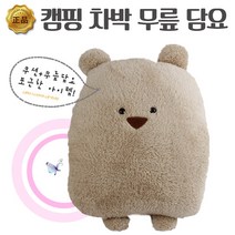 곰돌이 인형 쿠션 무릎 담요 차박 캠핑, 곰돌이 쿠션 담요