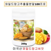 네추럴플러스 미국산 와일드망고씨앗 추출분말 와이드망고종자 야생망고 덤블망고 아프리카망고 망고차 가루 파우더 식이섬유, 200