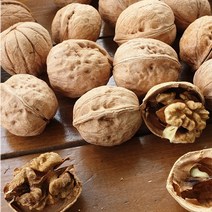 국산 안동 정월대보름 실속형 신품종 껍질이얇은 피호두 안깐호두 통호두 햇호두 호도 1kg+100g서비스증정, 1kg(115~150개입 내외)+100g서비스