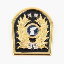 예비군 철제 뱃지 대 검정 군인 군대 전역 배지