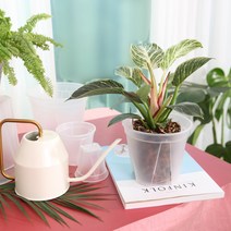 세경팜 슬릿 화분 일본카네야 투명 정품 플라스틱화분 제라늄 삽목 슬릿분 플분, 행잉걸이(화이트)