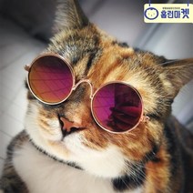 강아지 선글라스 러블리한 고양이 도글라스 냥글라스 여행 바다 휴가 물놀이 추억 촬영 인싸 캣 애견 카페 펜션 풀빌라 포토존 개셔니스타 말티즈 포메 말티푸 비숑 견생샷 인증샷, D 블루