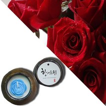 늘향 늘향 은은한 장미의 로즈향 항아리캔들 (2737180), 1호 파랑