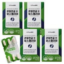 프롬바이오 관절연골 엔 보스웰리아 이병헌 보스웰리아 + 청소박사, 4박스, 4개