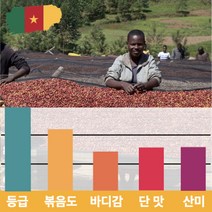 캅카와 [럭셔리]원두 카메룬 블루마운틴 내추럴 500g, 홀빈(분쇄안함)