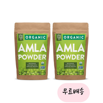 [FGO]-M2-FGO ORGANIC AMLA POWDER 암라 가루 암라비타민C USDA 오가닉 인도 암라가루 453g[[2통]], 453g, 2개