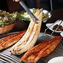 신선도최상 당일 손질 통영 바다장어 구이용 붕장어, 바다장어1kg(대/2-4미내외+소스2종증정)