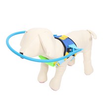 애구애구 강아지엔젤링 실명 시각장애견 출동방지링, 04_지켜줘 실드링 M