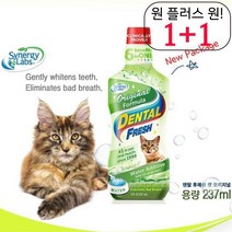 편리 반려묘구강청결제 냥이 펫구강청정제 스코티쉬폴드 고양이가글 물에타는 캣가글, 1개