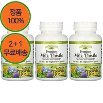2+1 네추럴팩터스 실리포스 밀크시슬 160mg 60캡슐