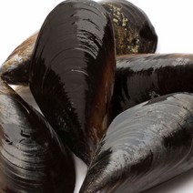 제철 통영 가리비 소라 전복회 개불 깐멍게 해산물외, 1개, 홍합2kg