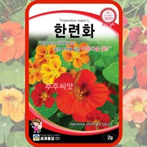 꽃씨 200종 꽃씨앗 꽃씨몰 다년생 월동 꽃 씨앗 세트 야생화 종자 / 코스모스 국화 제라늄 구절초 겹접시꽃 버들마편초 금어초 양귀비씨앗 메리골드 스토크 금어초 네모필라 꽃잔디
