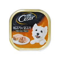 시저 반려견 주식캔, 소+닭, 100g, 9개