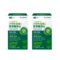 여성 식약청 은행잎 추출물 떨림 징코 징크 혈행 머리 뇌 혈관 에 좋은 영양제 식품 부모님 노인 순환 영양제 보조 식약처 인정 홈쇼핑 추천 머리에 40대 50대 60대, 2개(2개월분)