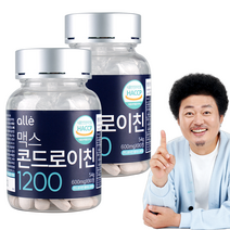 관절 알레 엔 콘드로이친 1200 윤택 600mg x 90정, 2통