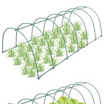 꽃 고수키우기 키우기쉬운식물 베란다 로즈마리 냉해방지 상추키우기 베란다 텃밭 가드닝 비닐하우스 겨울 테라스 로즈마리키우는법, 중간 정도, 세트 4 빅 사이즈 2.1m 롱 세트