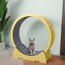 OCICC 캣휠 가성비 저소음 고양이 운동 용품 장난감 펫휠, M