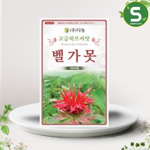 솔림텃밭몰 벨가못씨앗 1000립 벨가못 버가못 미국박하 허브씨앗, 1개