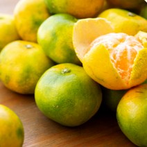 제주 새콤달콤 하우스 감귤 4.5kg로열과S-M