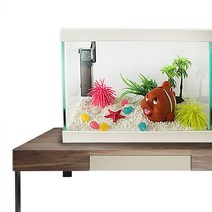 [스토어봄] 고운물(소)화이트 니모와 친구들 세트 - (어항세트) -미미네아쿠아