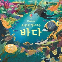 새책-스테이책터 [요리조리 열어 보는 바다] 플랩북-메건 컬리스 지음 바오 루 그림 신인수 옮김, 요리조리 열어 보는 바다