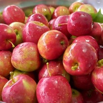 경산 산지발송 미니사과(알프스오토메) 2kg/23년햇과