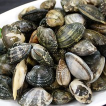 천수만 싱싱 바지락, 3kg, 1개