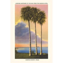 (영문도서) Vintage Journal Corpus Christi Paperback, Found Image Press, English, 9781669515302